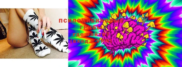 шишки Остров